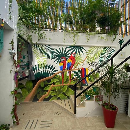 Lux Studio Room Las Palmas Puerto Morelos Exterior photo